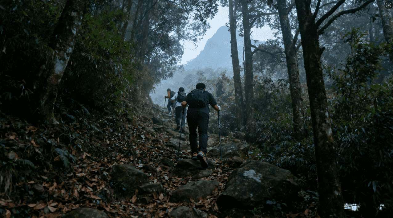 蘑菇加速器绑的是什么？如何查看和管理绑定信息的详细流程